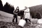 kopanie zemiakov v Staňovej rieke, rodina Chrenová - Ján a mama Štefánia